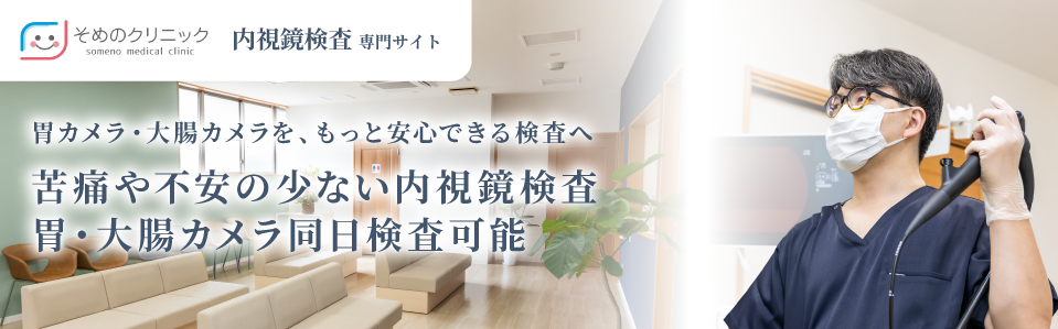 そめのクリニック内視鏡専門サイト